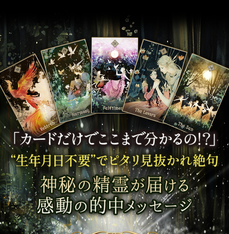 ֥ɤǤޤʬ!?סǯסɤǥԥ긫ȴ Ϥ	ưŪå