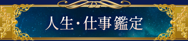 �������Ż�����