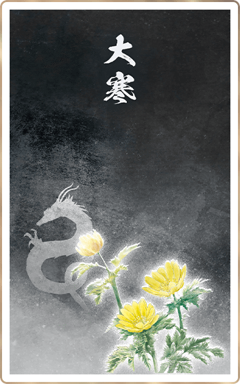 �紨�ʤ��������