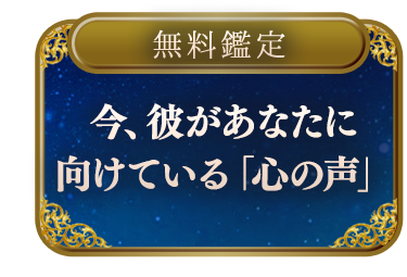 ��̵������ۤ���ζ�������Ƥ���ޤ����ĺ����ब���ʤ��˸����Ƥ���ֿ������ס�