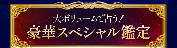 ��{�����[���Ő肤!���؃X�y�V�����Ӓ�