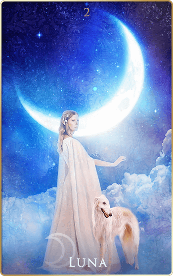 ���^�̉���