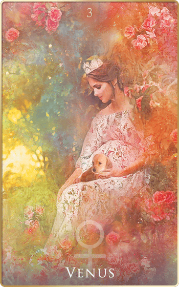 �����̏��_