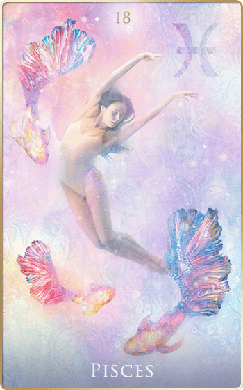 �����̑o��