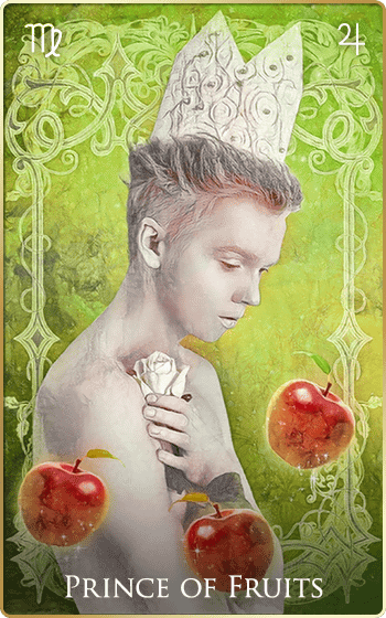 �ʎ��̉��q