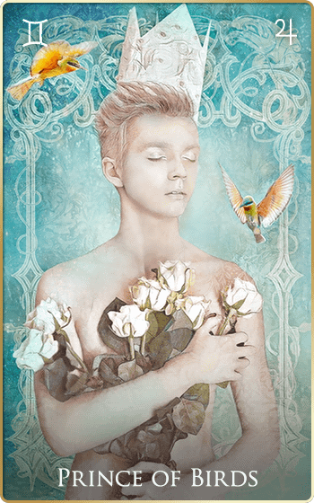 �����̉��q