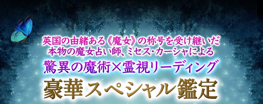 ѹͳ濫դξιѤʪꤤաߥˤðۤѡ꡼ǥ ڥڥ