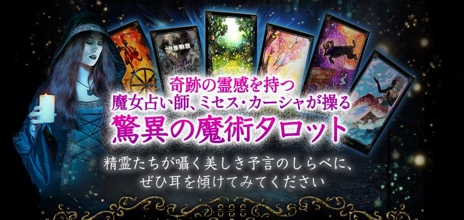 פꤤաߥ㤬ðۤѥå ͽΤ٤ˡҼ򷹤ƤߤƤ