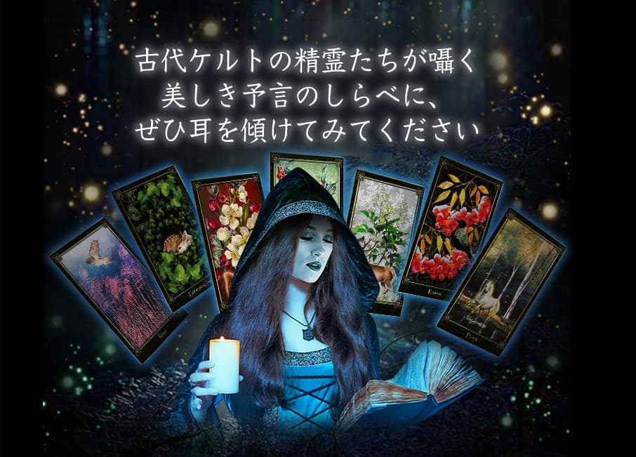 奱ȤͽΤ٤ˡҼ򷹤ƤߤƤ