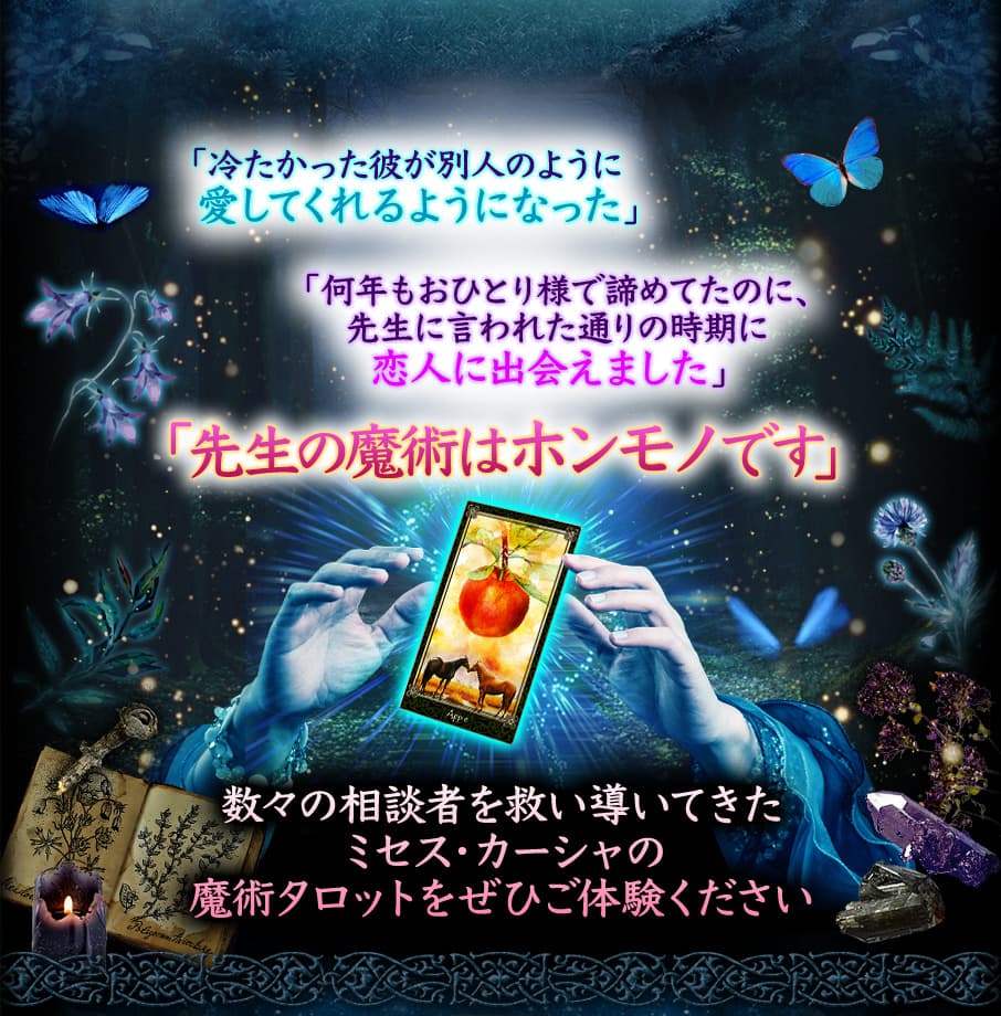 ̼ԤߤƳƤߥѥåȤ򤼤Ҥθ