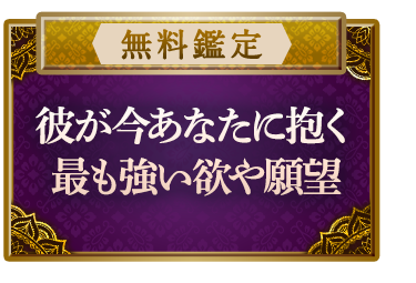 ̵बʤ˸Ǥ⶯ߡפִ˾פ꡼ǥ󥰡