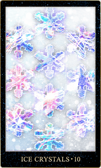 ɹ����10