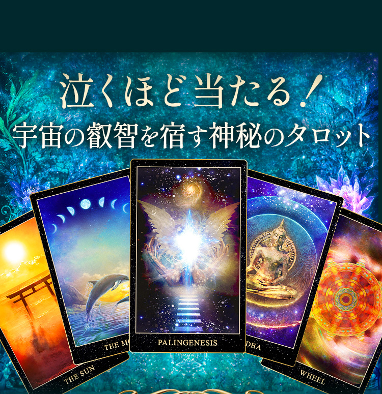 �㤯�ۤ�������!����α��Ҥ�ɤ�����Υ����å�