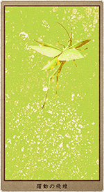 ��ư�������ʤҤ�����