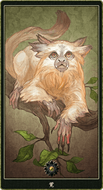 �Сʤ��Ȥ��