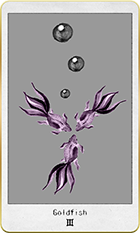 ������ɥե��å����3