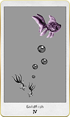 ������ɥե��å����4