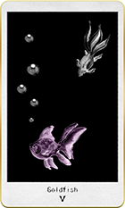 ������ɥե��å����5