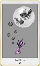 ������ɥե��å����6