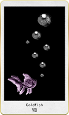 ������ɥե��å����7