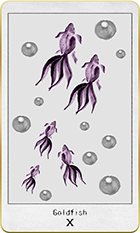 ������ɥե��å����10