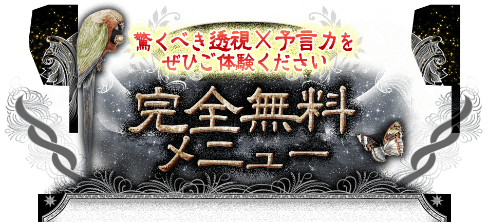 �ä��٤�Ʃ���ͽ���Ϥ򤼤Ҥ��θ��������� ����̵����˥塼