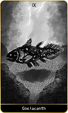 �����벽��