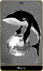 �����β̤�