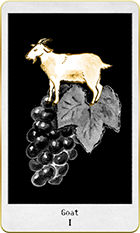 �����Ȥ�1