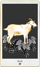 �����Ȥ�4