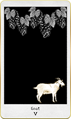 �����Ȥ�5