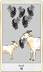 �����Ȥ�6