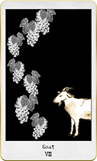 �����Ȥ�7