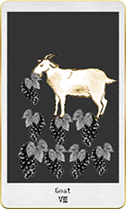 �����Ȥ�8