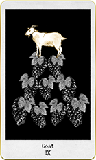 �����Ȥ�9