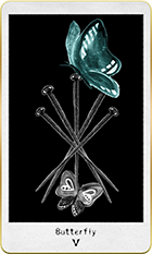 �Х��ե饤��5