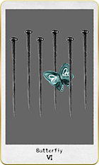 �Х��ե饤��6