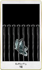 �Х��ե饤��8