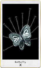 �Х��ե饤��10