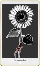 ����ޥ������1