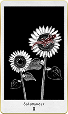 ����ޥ������2