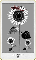 ����ޥ������3