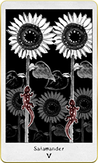 ����ޥ������5