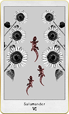 ����ޥ������6