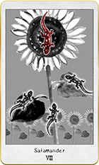 ����ޥ������7