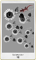 ����ޥ������8