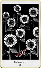 ����ޥ������9