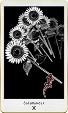 ����ޥ������10