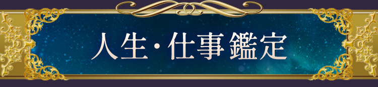 �������Ż�����