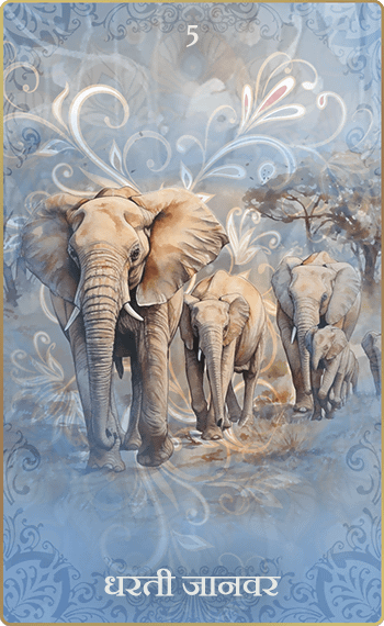 �Ϥ����á�5